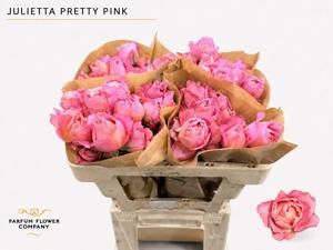 12x Rosa julietta pretty pink 50cm