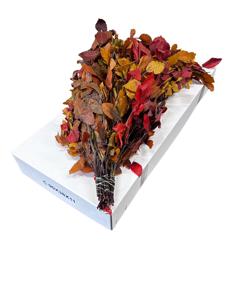 10x Dc fagus herfst gestabiliseerd 70cm