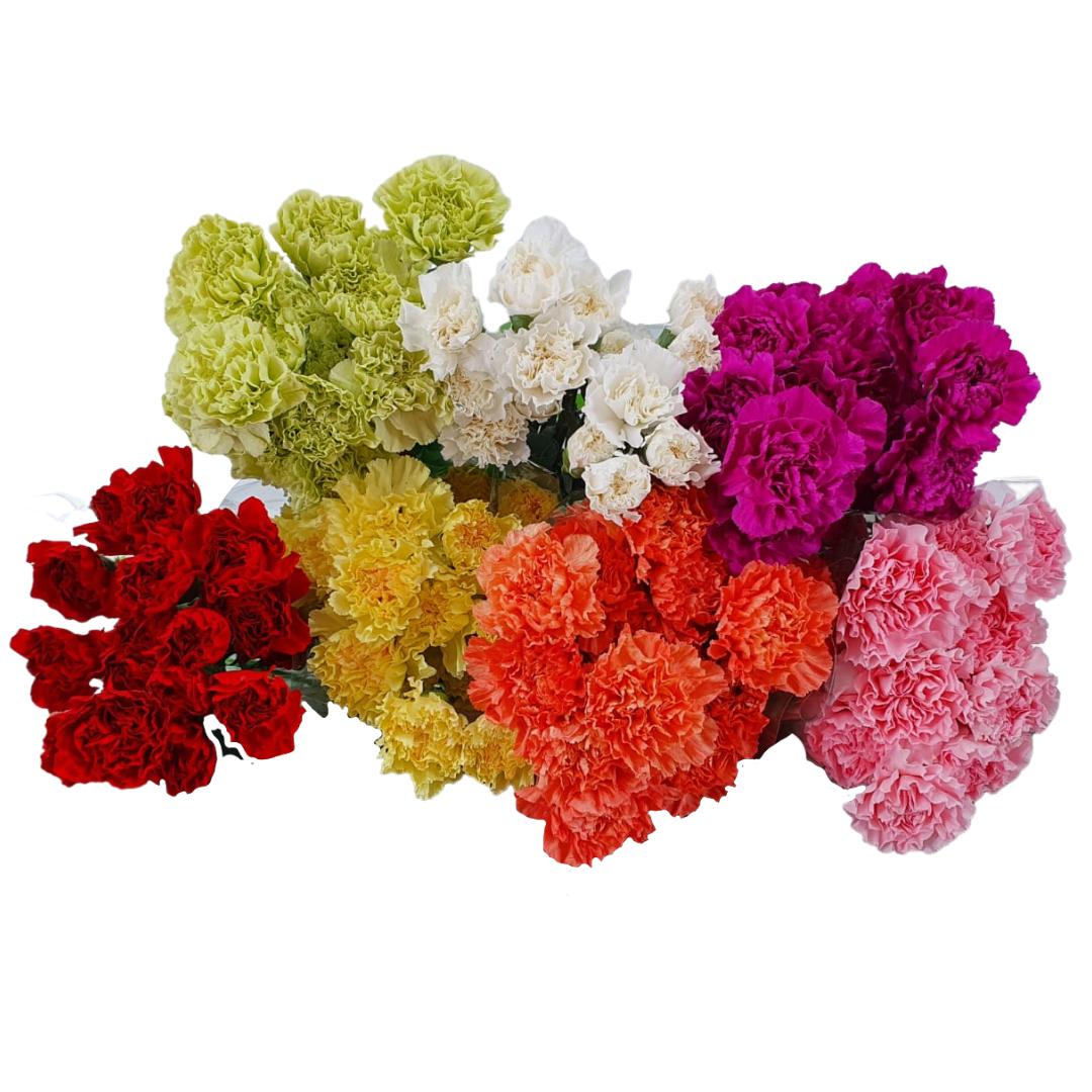 400x Dian.st.novelty mix 70cm