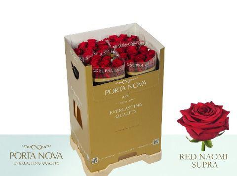 10x Rosa red naomi! 60cm