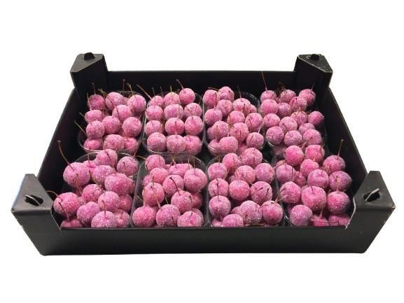 8x Sf malus wax fuchsia + glitter