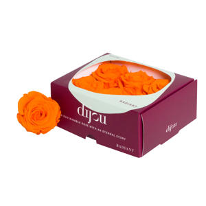 6x Dc pres.rozen orange 1505c