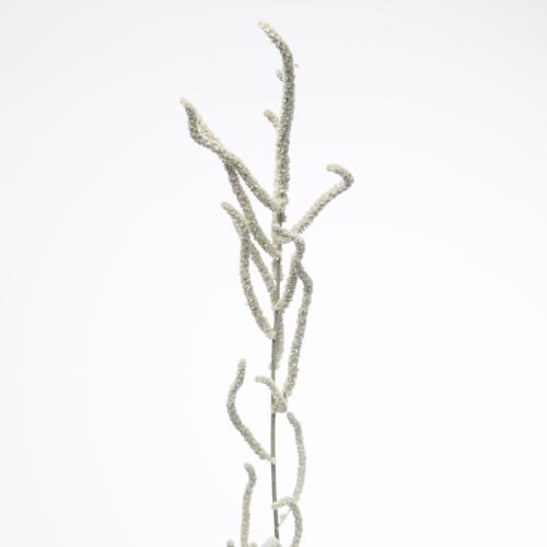 25x Amaran.yearming desert 70cm