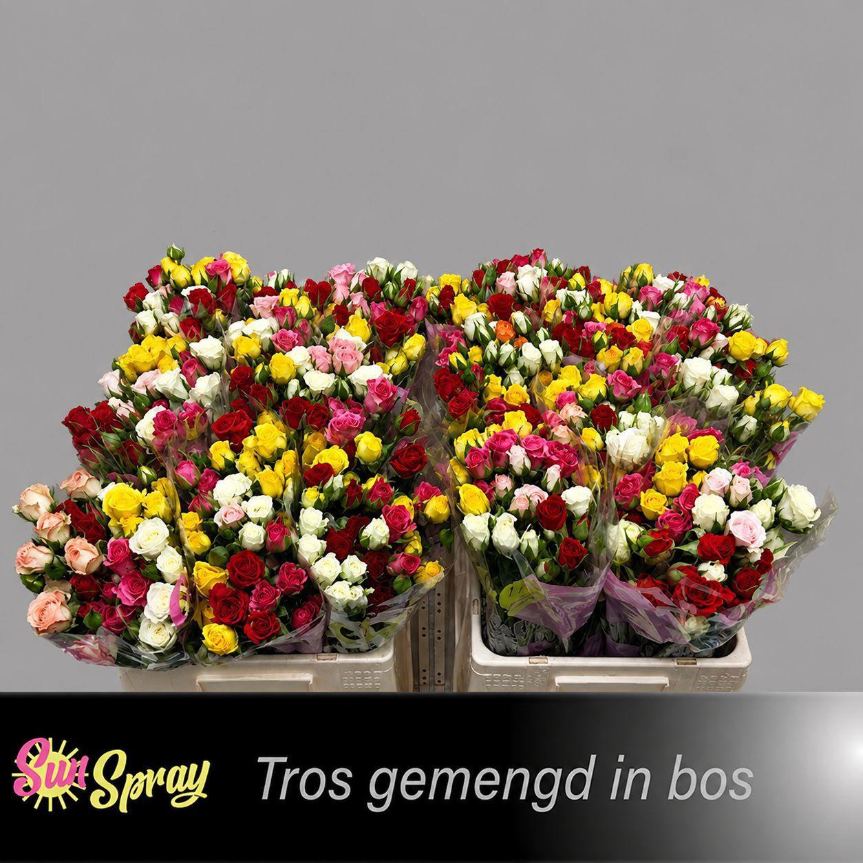 50x Rosa mix/bos 40cm