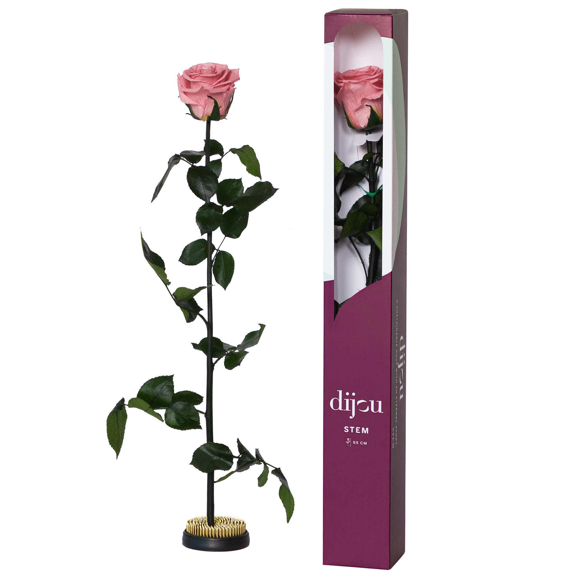 1x Dc pres.rozen dusty pink
