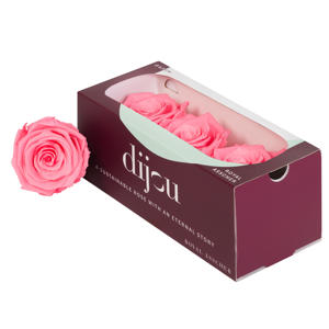 3x Dc pres.rozen light pink 1765c