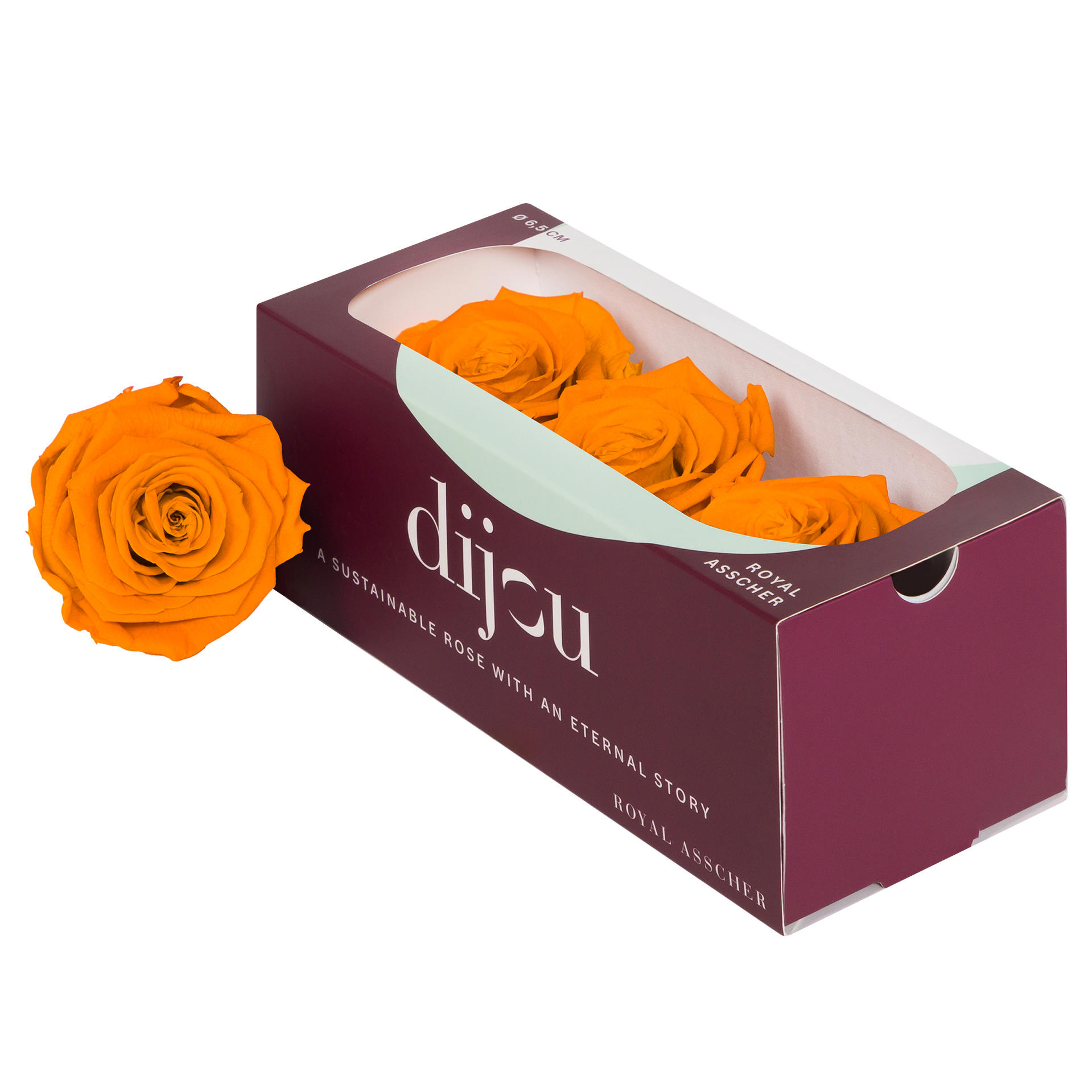 3x Dc pres.rozen lime orange