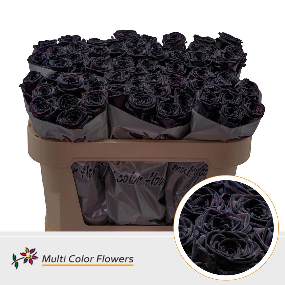 20x Rosa col.g.zwart 70cm