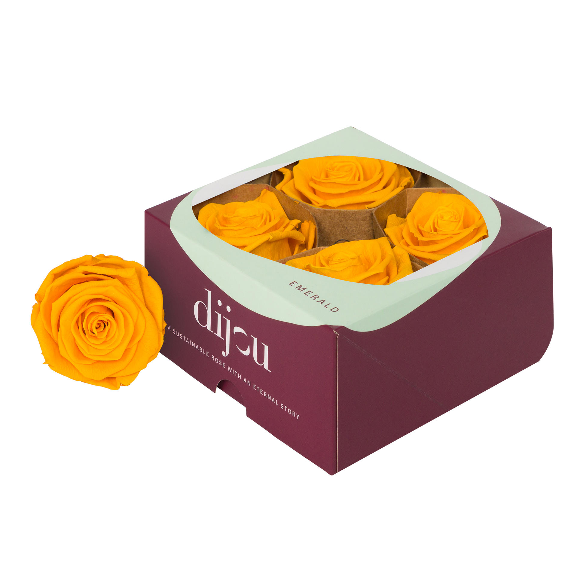 4x Dc pres.rozen gold yellow