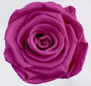4x Dc pres.rozen teddy fuchsia