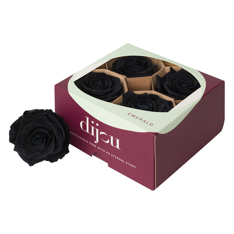 4x Dc pres.rozen black 0006c