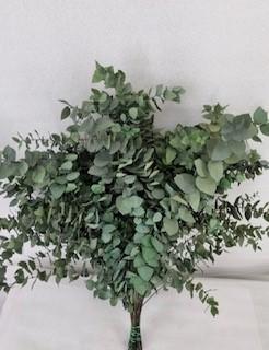 10x Dc eucalyptus stuart.groen gestabiliseerd 70cm