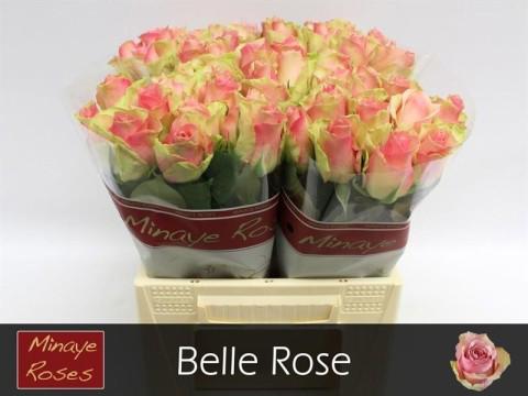 20x Rosa belle rose 40cm