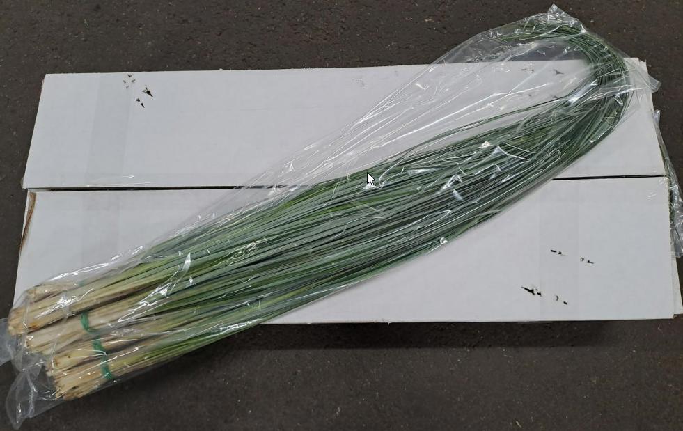 5x Sg beregras(vp) lang 80cm