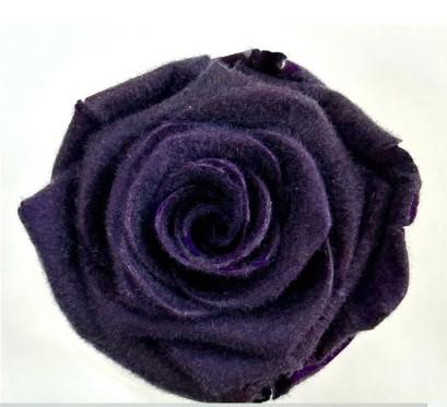 4x Dc pres.rozen teddy purple