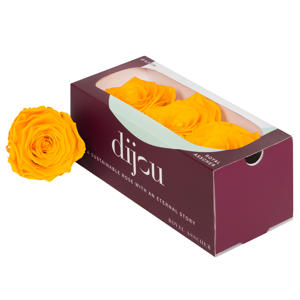 3x Dc pres.rozen gold yellow