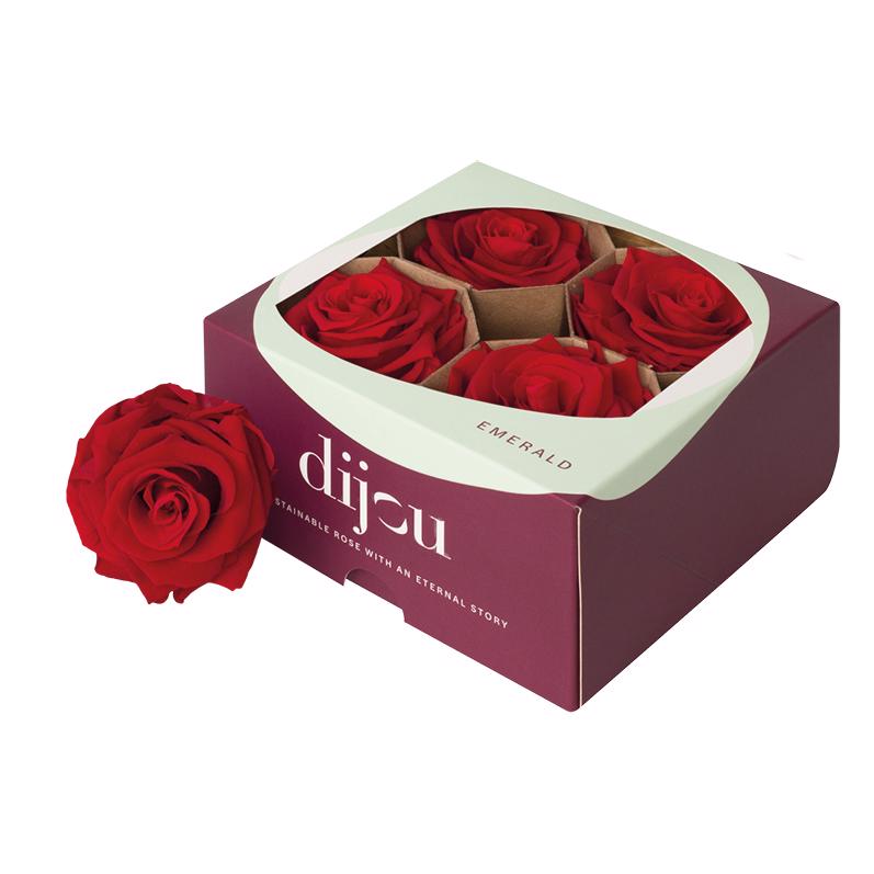4x Dc pres.rozen light red 1795c