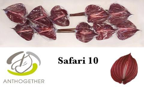 10x Anth.safari 10cm