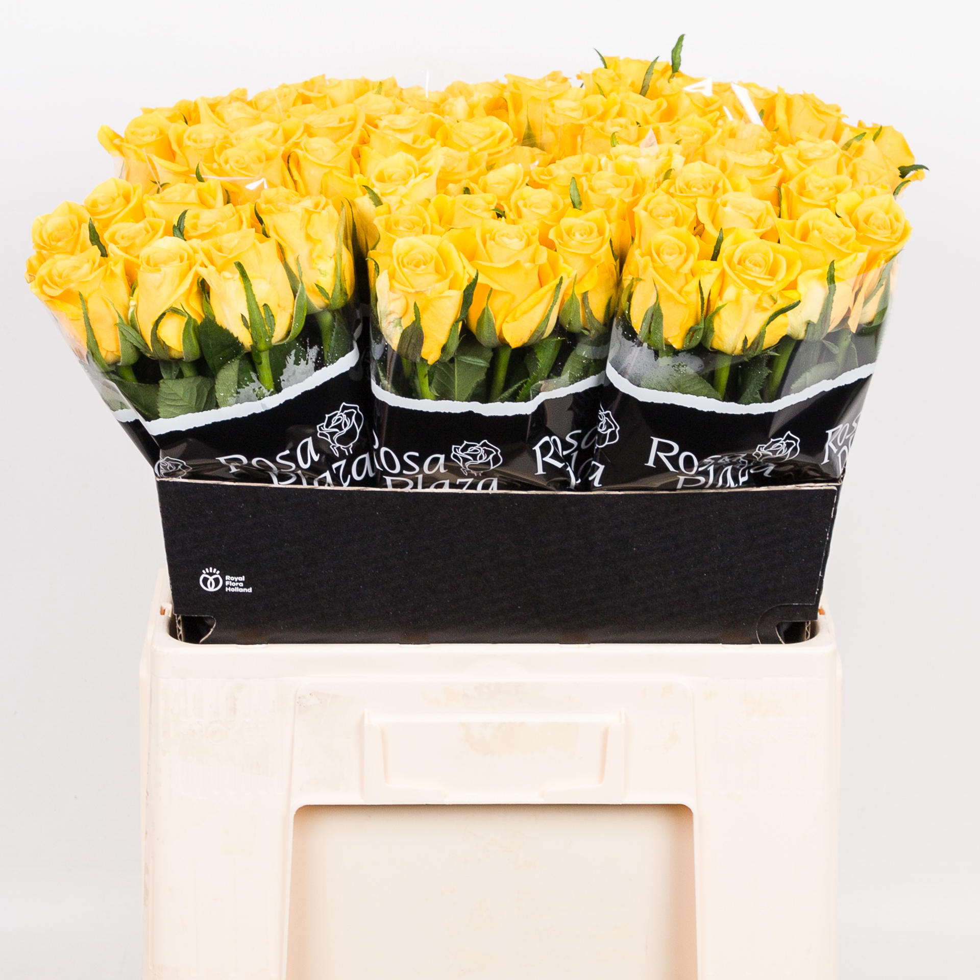 20x Rosa moonwalk 60cm