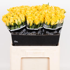 20x Rosa moonwalk 50cm