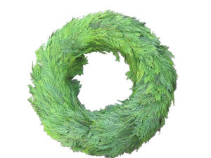 1x Sg rouwkrans thuja 70cm