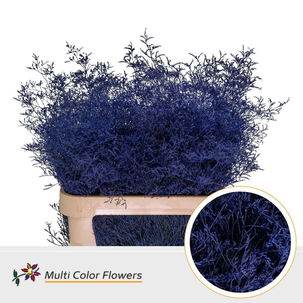 25x Lim. blauw 80cm
