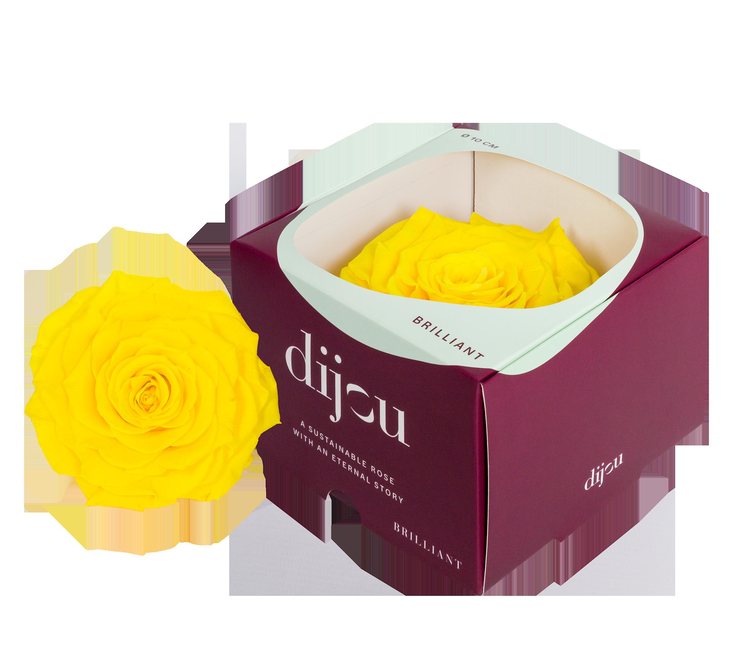 1x Dc pres.rozen sunny yellow 0012c