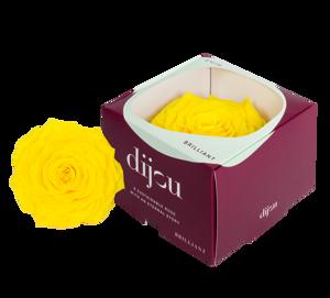 1x Dc pres.rozen sunny yellow 0012c