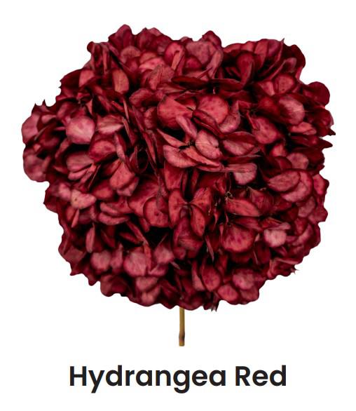 1x Dc pres.hydr.red