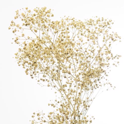 25x Gipskruid m.stars goud 80cm