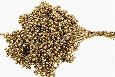 10x Dc pepper berry goud